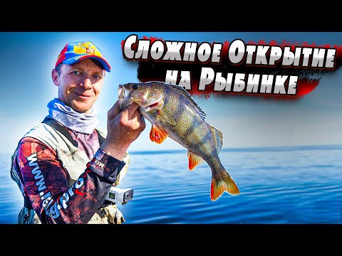 Видео: Открытие с лодки на Рыбинке | Джиг с Лодки | Окунь на рыбинке