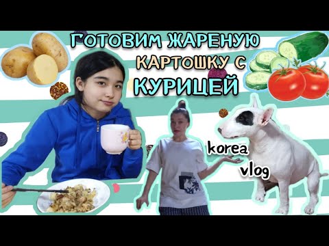 Видео: Готовим по русски в Корее/Откуда у нас Макс?/KOREA home VLOG
