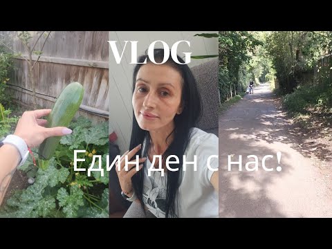 Видео: #63 Живот в Англия!/Отговарям на вашите въпроси!/Късаме първата тиквичка от градината ни!/