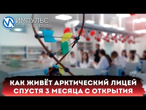 Видео: Как живёт Арктический лицей через 3 месяца после открытия