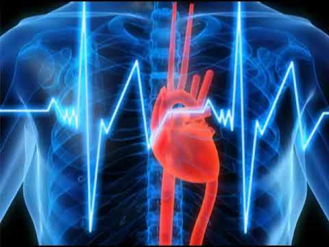 Видео: шайх Содик Самаркандий - Калб касаллари