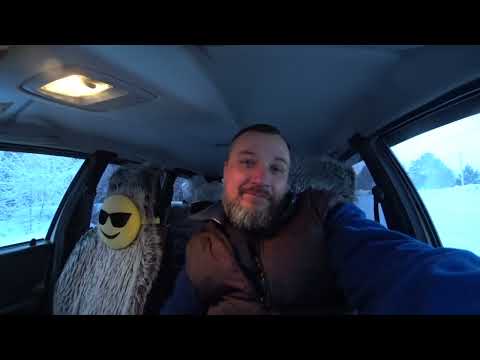 Видео: Судак Бердского залива