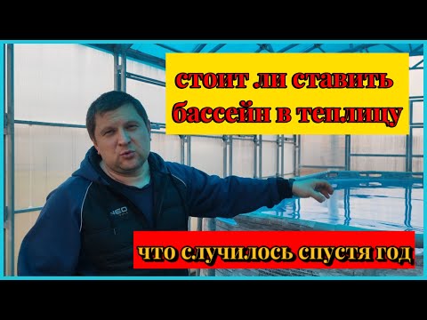 Видео: Установили бассейн в теплицу, что с ним случилось за год.