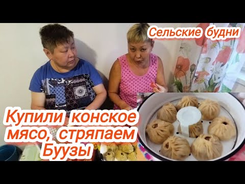 Видео: Купили конское мясо, готовим Буузы!