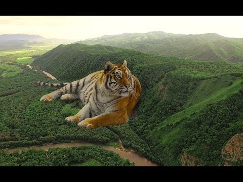 Видео: Песня "Дальний Восток"