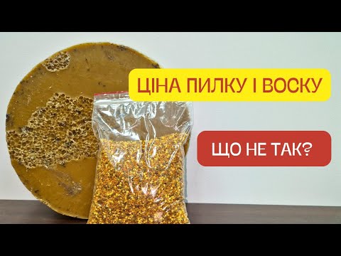 Видео: Ціна Пилку і ЦІНА Воску! Чому ми говоримо про один мед? Що не так? Оптові ціни пилку і воску