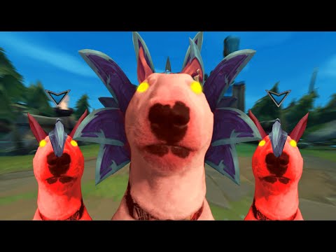 Видео: что делают собаки