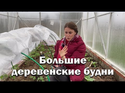 Видео: Строим новую теплицу // Большая уборка // Первые посадки