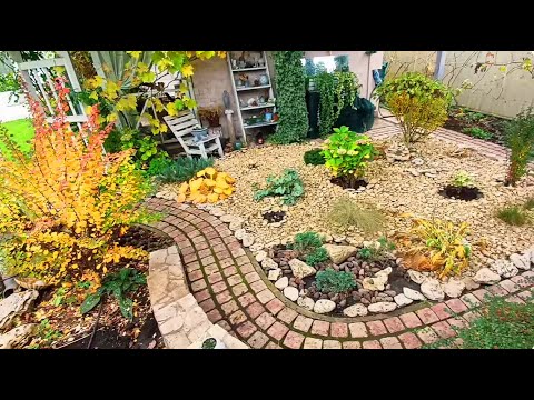 Видео: Осенний ДЗЕН: Тихий день на патио и осенние краски гортензий. Slow living, уютный  садовый влог.