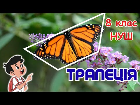 Видео: ТРАПЕЦІЯ. 8 клас. НУШ