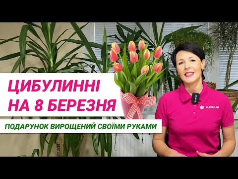 Видео: Як виростити цибулинні до 8 березня? Перевірений спосіб // Как вырастить луковичные к 8 марта?