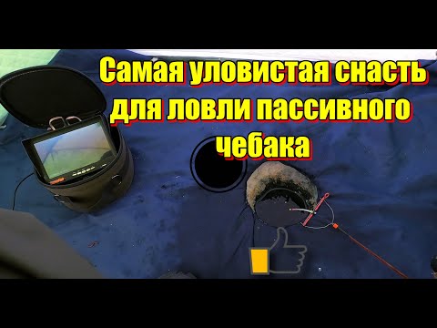 Видео: Самая уловистая снасть(Арбалет) для ловли пассивного чебака зимой.