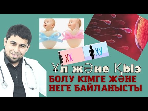 Видео: ҰЛ ЖӘНЕ ҚЫЗ БОЛУ КІМГЕ ЖӘНЕ НЕГЕ БАЙЛАНЫСТЫ   қысқаша сұраққа жауап