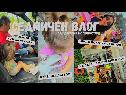 Видео: СБЪДНАХМЕ МЕЧТА 🚂 | ТРИ ПЪТИ В СПЕШНО 🤯 | PEPCO ТОП ПОПАДЕНИЯ ОТ НАМАЛЕНИЯ 
