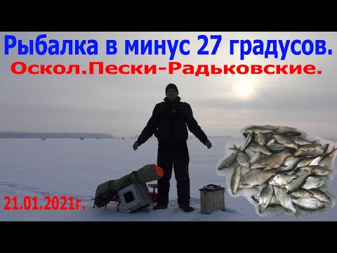 Видео: Рыбалка в минус 27 градусов.Оскол Пески-Радьковские.
