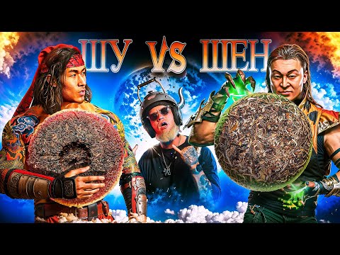 Видео: Шу или шен? Какой пуэр бодрее, мощнее и лучше? Мифы о пуэрах