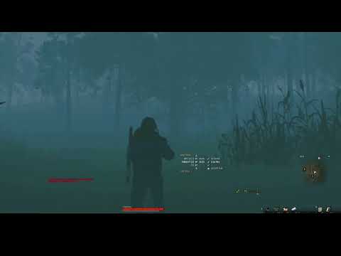 Видео: Настроим графику? /Сталкер Онлайн/Stay Out/RU 1