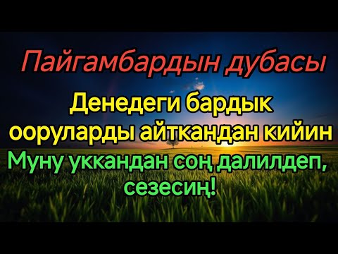 Видео: Шыпаа дубасы🤲Бардык оорулар Алланын уруксаты менен айыгат💝