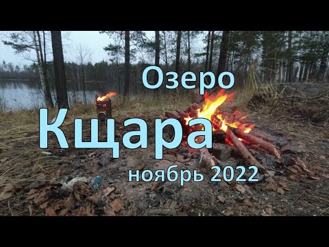 Видео: Озеро Кщара. 40 км пешком. Лоси, бобры, медведи, туристы.