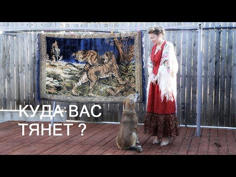 Видео: КАК ПОНЯТЬ ЕСТЬ ЛИ СИМВОЛ В РУССКОМ ПЛАТКЕ. Хаотичные платки. Я в "Контакте". Ковёр "Тигры" для вас!