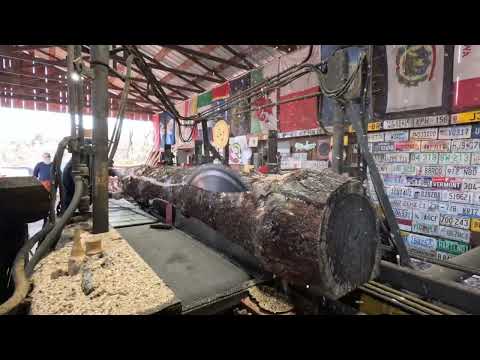 Видео: Распиловка двух прекрасных бревен из белой сосны # 794