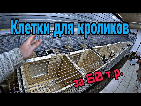 Видео: Клетки для кроликов из сетки. Промышленные клетки для кроликов. Каркасный крольчатник ч.16