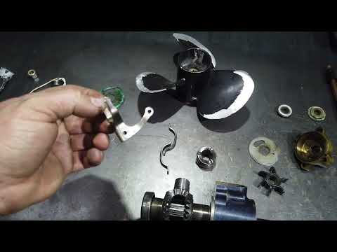 Видео: Selva 15 полный разбор