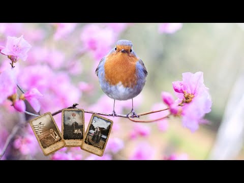Видео: 💙Защо мълчиш и пасуваш? 💛Ще се промени ли това? 🙄