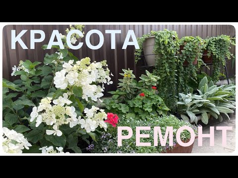 Видео: Ремонт💜всё для кухни. Как из дешёвых досок быстро сделать МНОГО универсальных кашпо СУПЕР ИДЕИ!