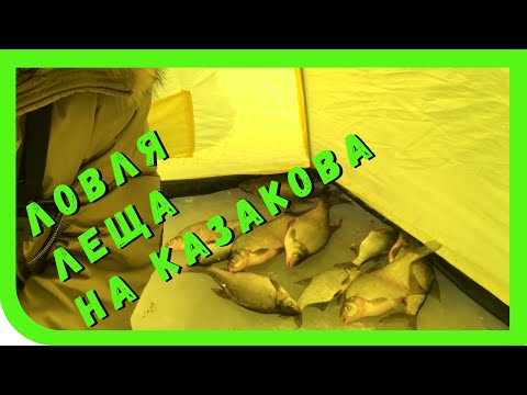 Видео: Лещ на Казакова... Все, что нужно знать.  Финский залив