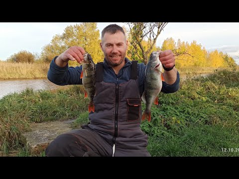 Видео: ЛАДОГА. КРУПНЫЙ ОКУНЬ НА ДЖИГ.