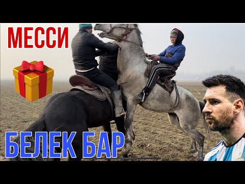 Видео: Месси / 2 ат / Беш бештин аты😱😱🌪️🌪️