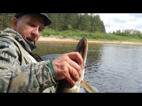 Видео: "Нельма" катушка. Ловля щуки спиннингом в коряжнике.  Проводка колеблющейся блесны.Часть 1.