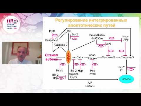 Видео: Апоптоз и рак