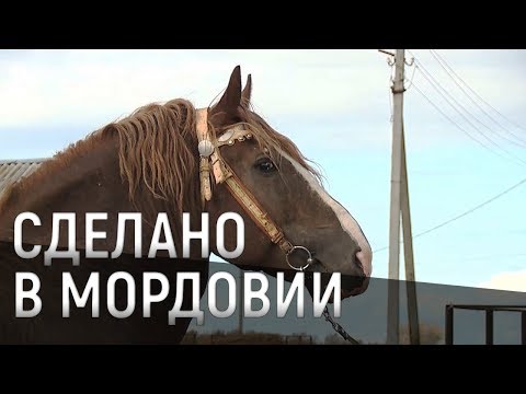 Видео: Сделано в Мордовии: "Советский тяжеловоз"