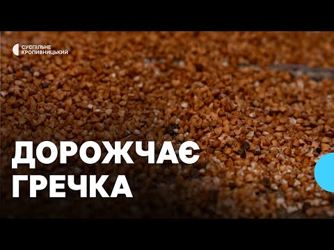 Видео: На Кіровоградщині дорожчає гречка: які причини та прогнози