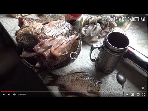 Видео: С дядей Толей по Арге, хорошо в Тайге! Ч 4.8 В которой хоть и есть караси, но она грустная