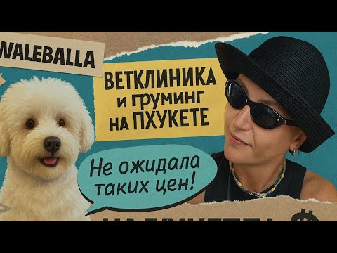 Видео: Цены на ветеринарные услуги и груминг на Пхукете 🐶🇹🇭 Реалии Таиланда 2025