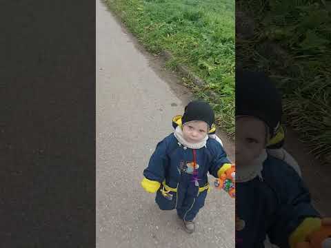 Видео: Кормим уток