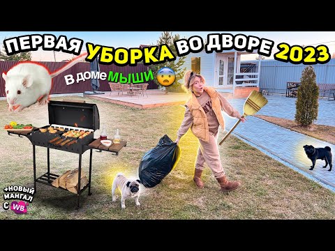 Видео: у нас в Доме МЫШИ😰 ПЕРВАЯ Уборка во Дворе 2023!✨ Расхламляем ТАМБУР! новый МАНГАЛ с WILDBERRIES