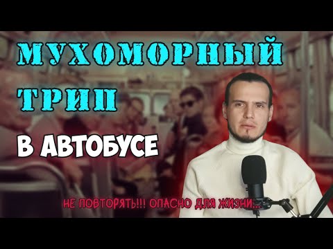 Видео: МУХОМОР | Мой опыт употребления #мухомор #пантерный #микродозинг #трип #страх