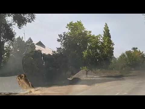 Видео: у Комсомольская.Беловодск.