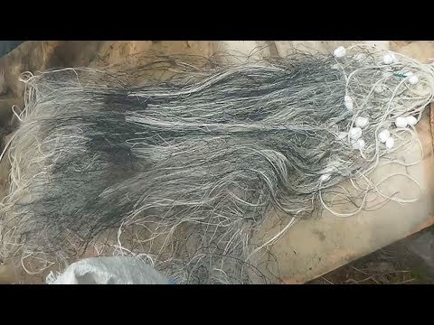 Видео: Рыболовные сети, Что с ними делать после рыбалки