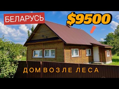 Видео: Дом у леса за 9500 долларов — реально? | Нашёл классный недорогой дом | Продажа дома в БЕЛАРУСИ