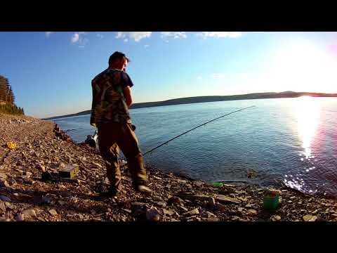 Видео: Рыбалка-фидер,Ангара!Свирск-Каменка,д.Угольная!