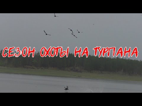 Видео: Охота на турпана в Якутии, сезон 2021.