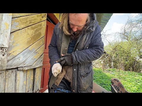 Видео: УДАЛОСЬ ПРОНИКНУТЬ В ДОМ ДЕРЕВЕНСКОГО НИЦШЕ.