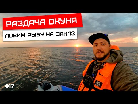 Видео: Раздача окуня, Ладога! #зеленцы #ладога #рыбалка