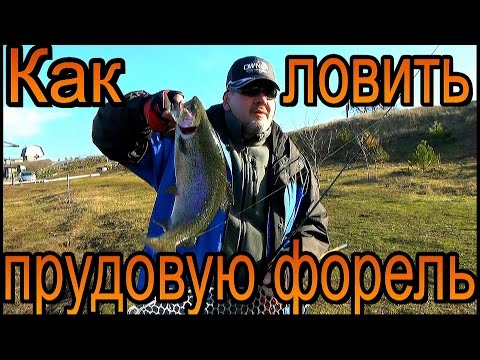 Видео: Как ловить прудовую форель. Что и как.. Trout fee fishing