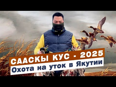 Видео: СААСКЫ КУС - 2025 | ВЕСЕННЯЯ ОХОТА на утку и гуся В ЯКУТИИ